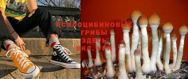 тгк Лиски