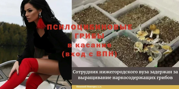экстази Ладушкин