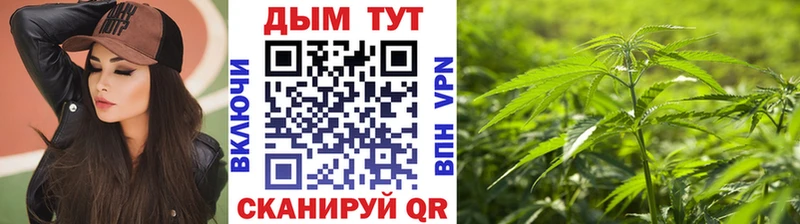 Бошки Шишки Bruce Banner  MEGA зеркало  Чердынь 